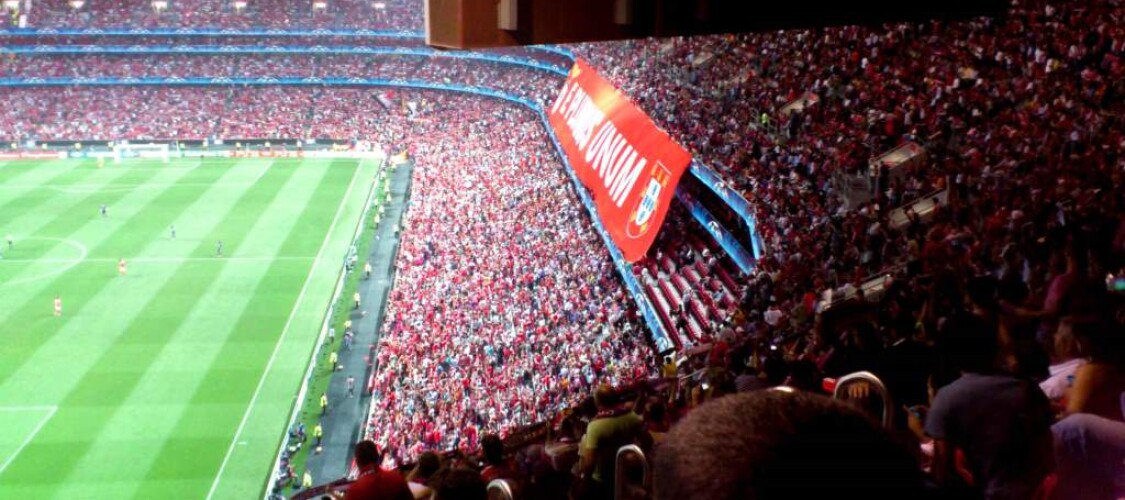 Tour guidato dell'Estadio da Luz e ingresso al Museo del Benfica