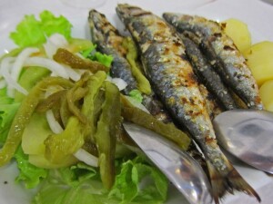 sardine