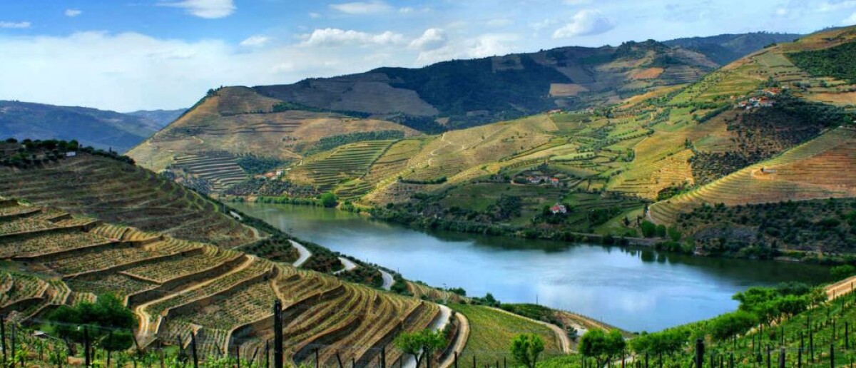 Scopri la nostra selezione di Tour e degustazioni enogastronomiche a Lisbona