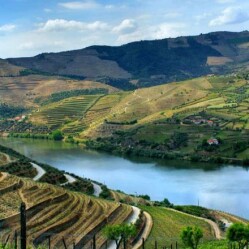 Cosa bere a Lisbona: I migliori vini del Portogallo