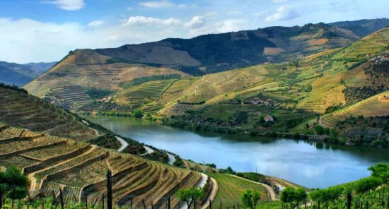 Cosa bere a Lisbona: I migliori vini del Portogallo