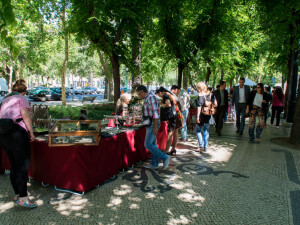 feira na avenida