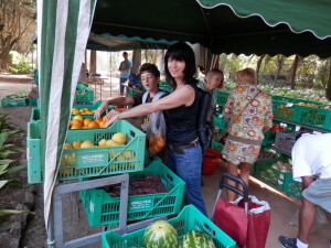 organic feira