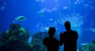 Acquario Oriente Lisbona