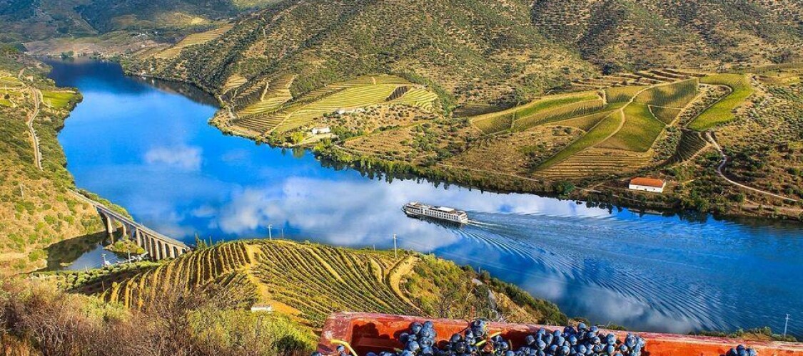 Vedi i tour e le attività per visitare Porto e la Valle del Douro