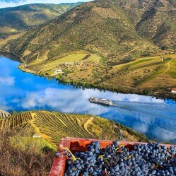 Valle del Douro: la culla del patrimonio enologico portoghese