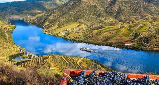 Valle del Douro: la culla del patrimonio enologico portoghese