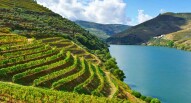Porto Douro