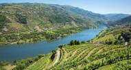 Valle del Douro