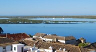 Faro Cover