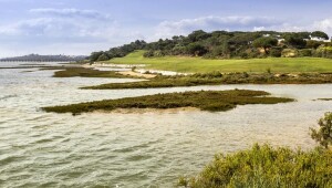 Ria Formosa