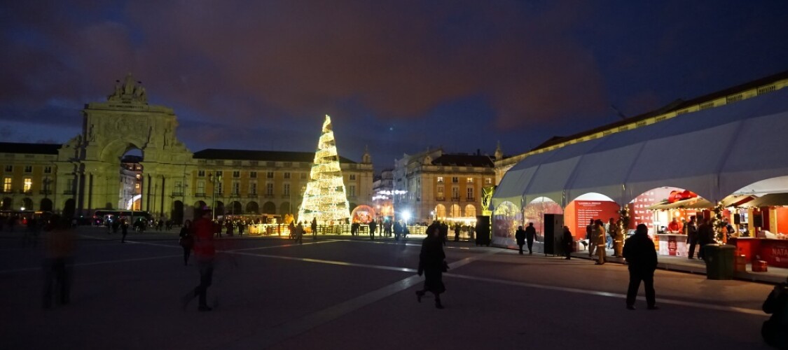 Scopri i migliori tour e attività di Natale e Capodanno