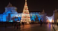 Praca do Comercio Albero