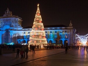 Praca do Comercio Albero