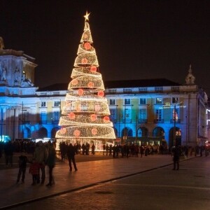 Praca do Comercio Albero