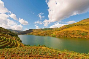 Valle del Douro
