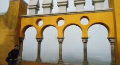 Pina06