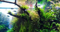 Oceanario Lisbona 19