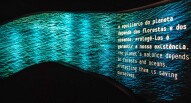 Oceanario Lisbona 20