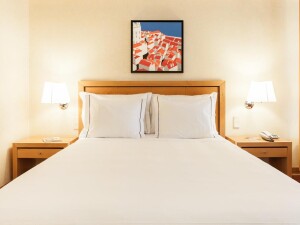 Hotel Roma