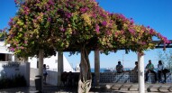 Miradouro de Santa Luzia 4