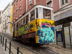 tour quartieri tram